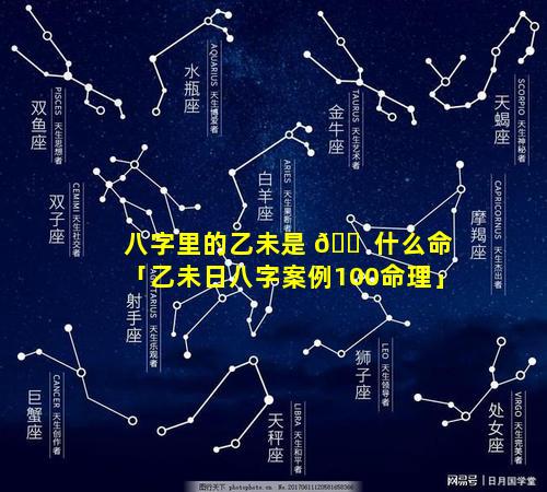 八字里的乙未是 🐠 什么命「乙未日八字案例100命理」